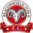 Beaconsfield Town