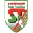 Stade Tunisien