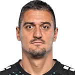 N. Nedić