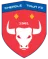 Cheadle Town