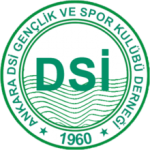 MKE Ankaragucu logo