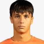 V. Jovanovic