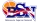 BSN logo