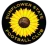 Sunflower State