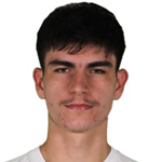 M. Buljubasic