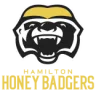Brampton Honey Badgers