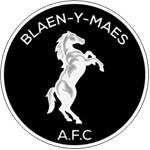 Blaen-y-Maes