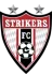 Strykers W