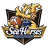 SeaHorses Mikawa