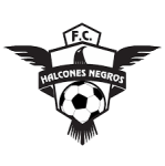 Halcones Negros