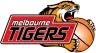 Melbourne Tigers