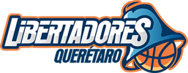 Libertadores logo
