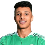 Ahmed Eid Abdel Naby