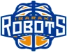 Ibaraki Robots