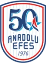 Anadolu Efes