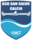 Salvo