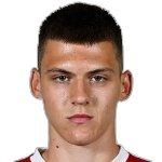S. MitroviÄ