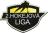 2. Liga
