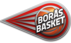 Boras logo