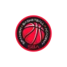 Spanish Basketball Academy
