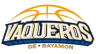 Vaqueros de Bayamon