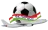 Parvoz